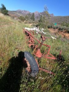 IMG-20250217-WA0016