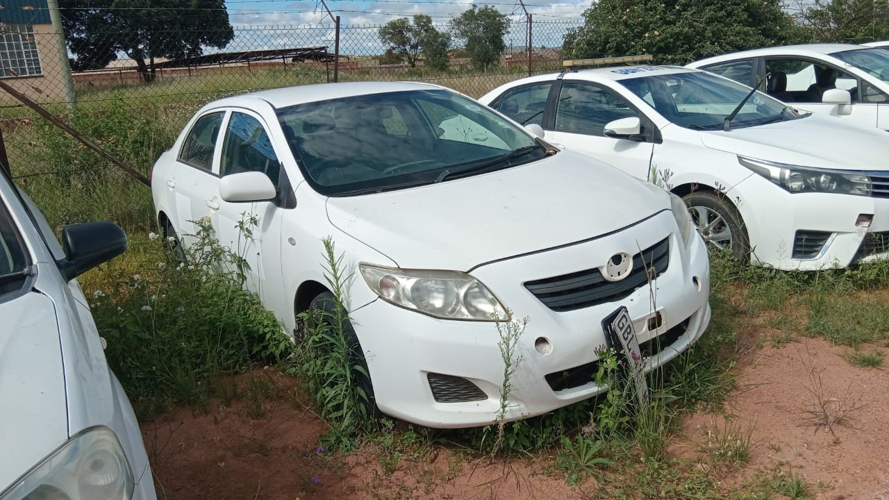 WhatsApp Image 2026-01-22 at 10.59.22 (4)