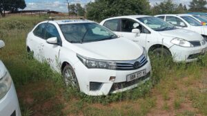 WhatsApp Image 2026-01-22 at 10.59.27 (2)