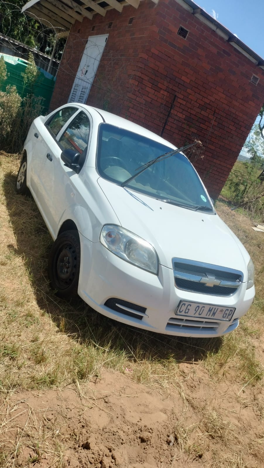 WhatsApp Image 2026-02-04 at 10.33.01 (3)