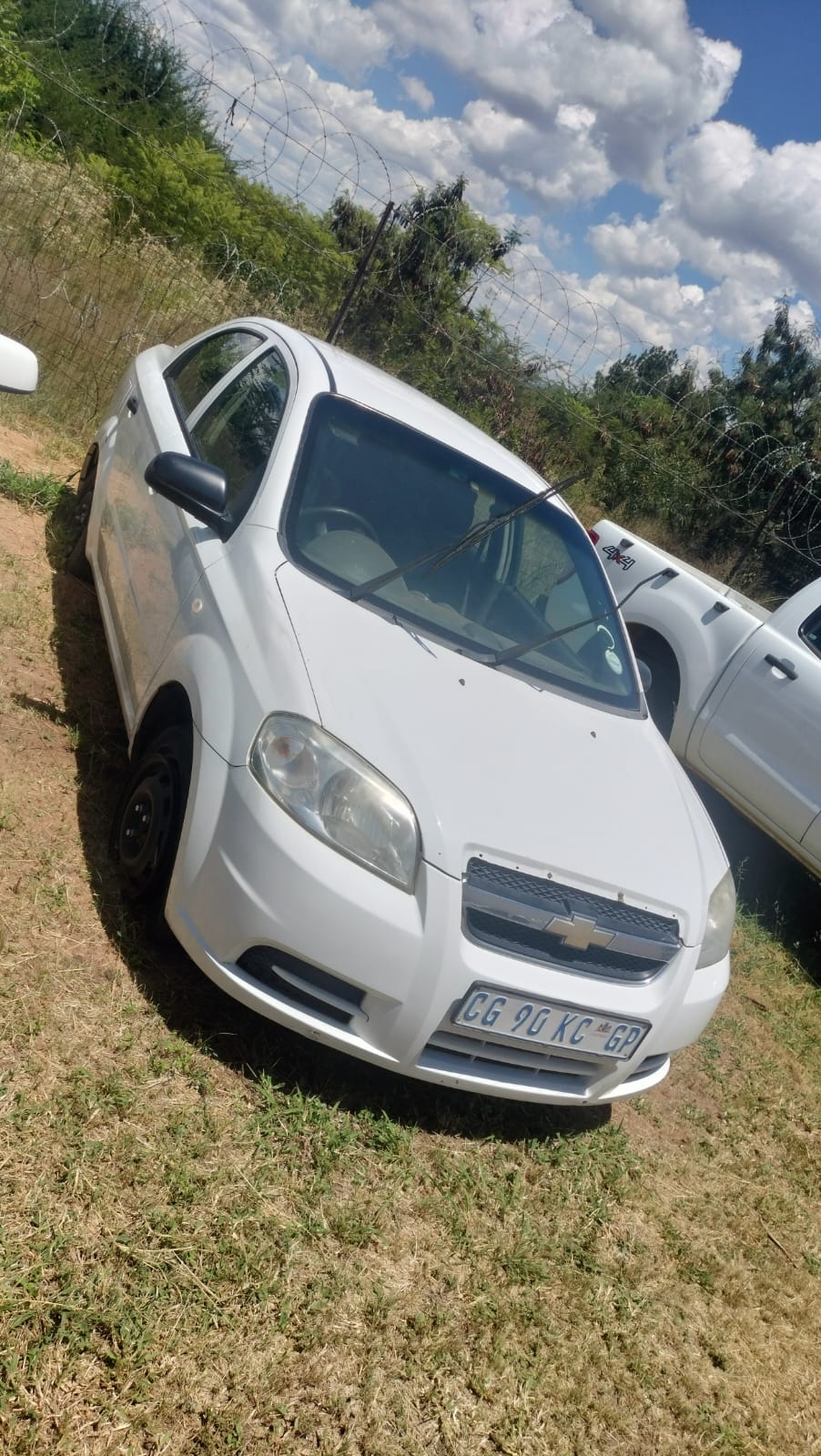 WhatsApp Image 2026-02-04 at 10.33.02 (2)